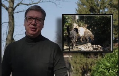 "MNOGO, MNOGO IH VOLIM" Vučić pokazao ljubimce, pa otkrio ko je umiljatiji, a ko brži (VIDEO)