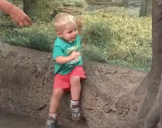 MALENI DEČAK PRVI PUT POSETIO ZOO VRT SA RODITELJIMA Iza stabla iskočila divlja životinja, začuo se vrisak! (VIDEO)