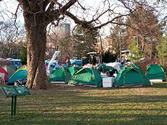 PROFESORKA SVETLANA VUJOVIĆ SA STUDENTIMA KOJI ŽELE DA UČE: Razgovaraće sa mladima koji žele nazad na fakultete