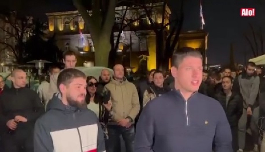 SA BLOKADA DOŠAO U PIONIRSKI PARK Daliboru su aktivisti blokaderi PRETILI, ali nije vredelo - on želi da UČI (VIDEO)