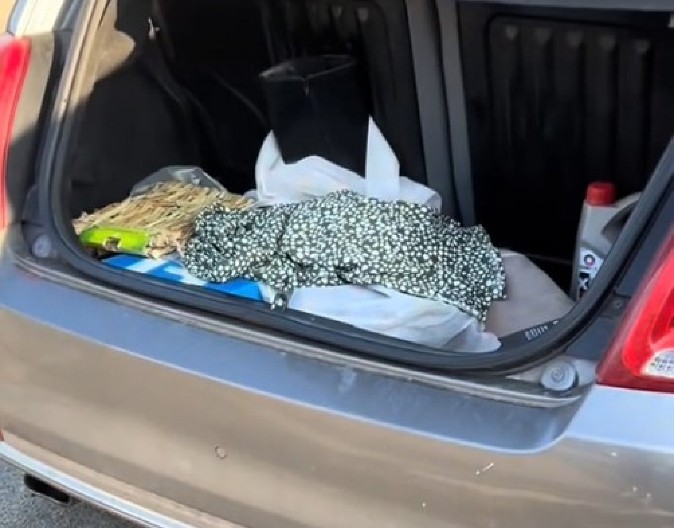 DANIMA JE ČULA NEOBIČNO LUPANJE U AUTOMOBILU Kada je otvorila gepek, njen vrisak je odjeknuo ulicom! (VIDEO)