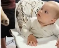 REAKCIJA OVE BEBE JE NEŠTO NAJSLAĐE ŠTO ĆETE VIDETI DANAS Neodoljivi trenutak kada je prvi put ugledala psa rastopiće i najtvrđa srca! (VIDEO)