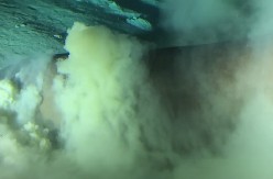 PODMORNICA ISTRAŽIVALA DNO OKEANA, PA NAIŠLA NA ČUDOVIŠTE Iz mraka izvirila glava morskog predatora, naučnici zanemeli od šoka! (VIDEO)