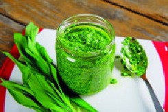NEODOLJIVI PESTO SOS Sjajno se slaže sa testeninom i krompir pireom