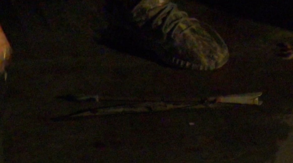 NAPADAJU ŠIPKAMA STUDENTE U PIONIRSKOM PARKU! Toliko o tome da ne žele nasilje (VIDEO)