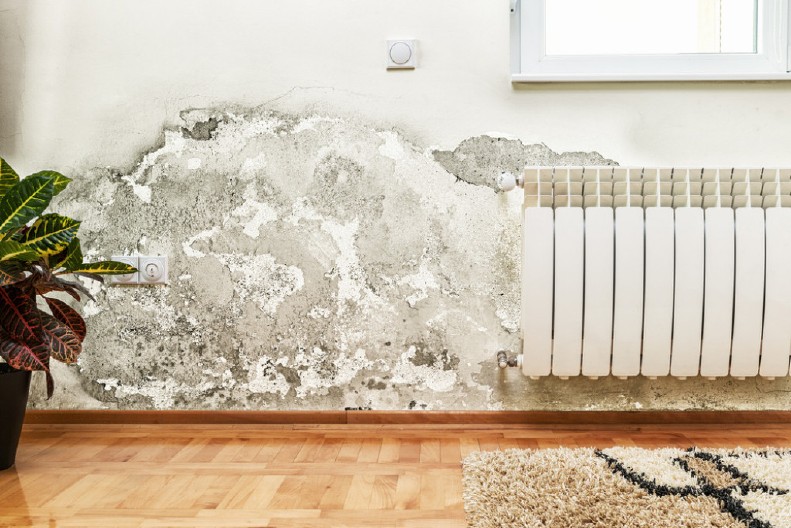 VLAGA NA ZIDU SE VIŠE NEĆE JAVLJATI Mirjana je stavila ovo u svaku prostoriju, crne fleke od buđi su nestale