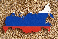 UŽAS U IŽEVSKU Požar uništio farmu insekata u Rusiji, vatra je zahvatila površinu od 300 kvadratnih metara