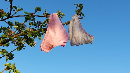 PRIPREMITE SE ZA ŠOK Doktorka Anja otkrila koliko često treba menjati donji veš