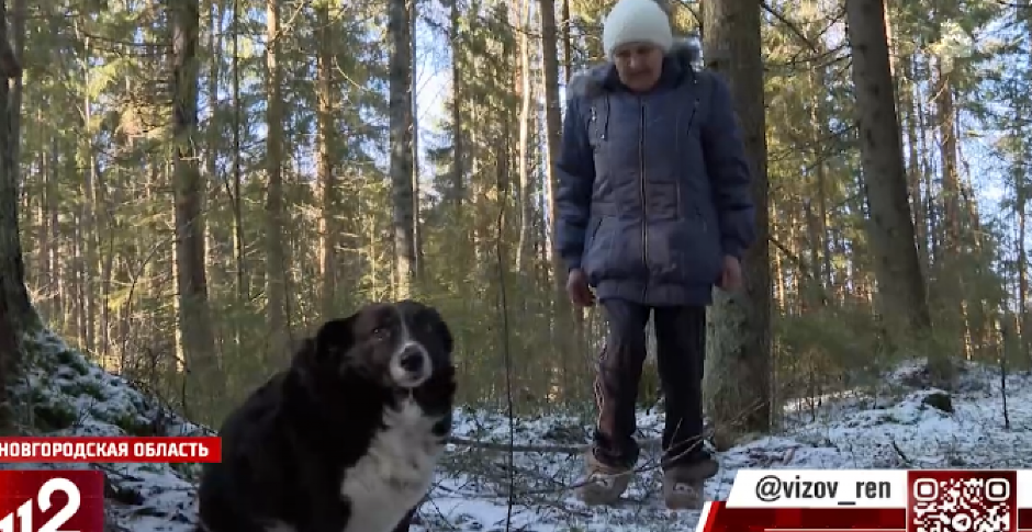 VERNI PAS POMOGAO STARICI DA PREŽIVI Pronađena nestala penzionerka
