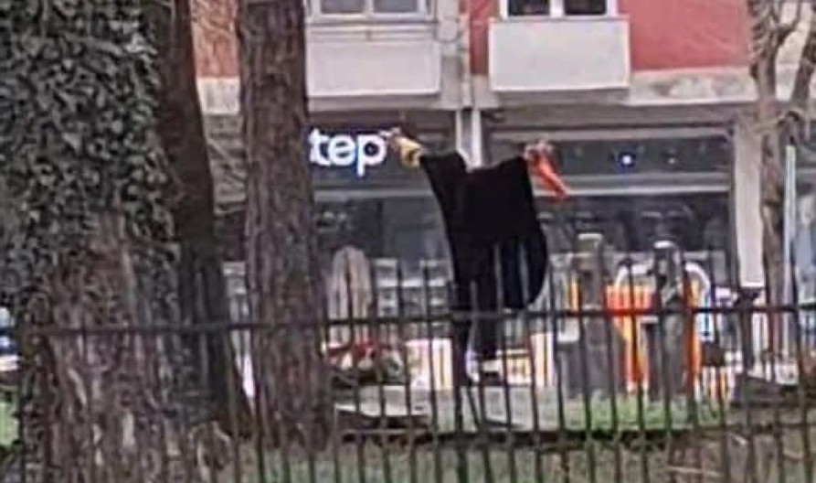 UHAPŠENA ŽENA NA CETINJU: Vrištala i pela se po grobnicama Vlaškog groblja