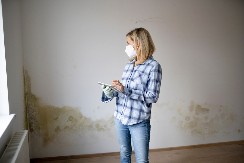 OTKRIJTE BUĐ PRE NEGO SE POJAVI NA ZIDOVIMA Jednim pokretom ruke, saznaćete da li se u stanu već razmnožava plesan