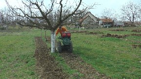 NEĆE BITI NI ZA DŽEM! Rani mrazevi skoro potpuno uništili ovogodišnji rod kajsije!