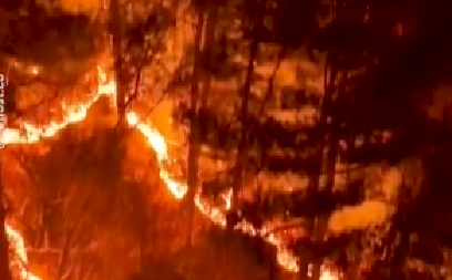 BUKTE ŠUMSKI POŽARI, VLASTI PROGLASILE VANREDNU SITUACIJU! Južna Koreja vodi borbu sa vatrenom stihijom (VIDEO)