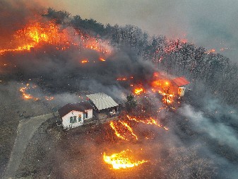 BUKTINJA SE NE SMIRUJE Najmanje četiri osobe poginule, a 11 povređeno u šumskim požarima u Južnoj Koreji (FOTO/VIDEO)
