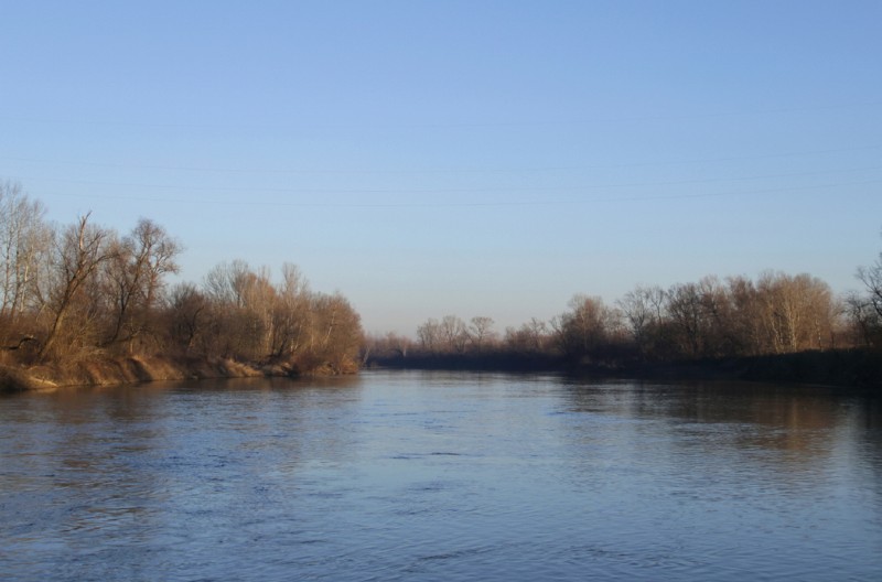 MISTERIJA DEVOJČICE PRONAĐENE U SAVI: Otkrićemo da li je smrt bila nasilna, nestanak deteta nije PRIJAVLJEN!