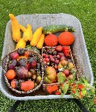 NAMIRNICA KOJA ŠTITI PUŠAČE OD BOLESTI Svi ljubitelji duvana treba obavezno da je jedu, spašava krvne sudove