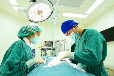 PRESADILI SVINJSKU JETRU PACIJENTU Kineski lekari isprobali novi način lečenja teških bolesti