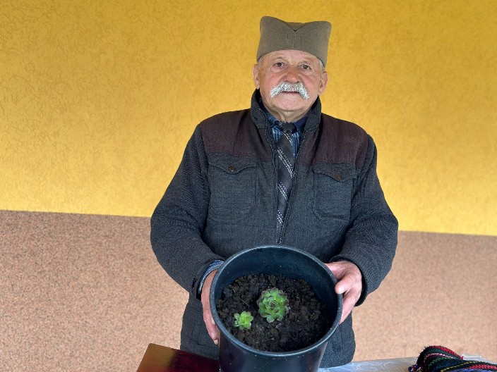 SRBI OD DAVININA OVU BILJKU SMATRAJU ČUDOM PRIRODE Veruju da leči mnoge boljke i kod žena i kod muškaraca