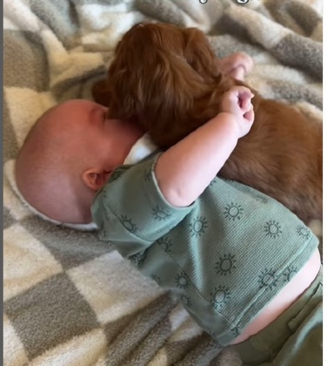 OVO JE NEŠTO NAJLEPŠE ŠTO ĆETE DANAS VIDETI Štene je prvi put prišlo bebi, njihova sreća raznežila je i najtvrđa srca!