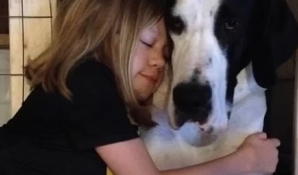 PRIČA O PSU HEROJU NATERAĆE VAM SUZE NA OČI Nesrećna devojčica je sedela nepokretna u invalidskim kolicima, a onda se dogodilo čudo! (VIDEO)