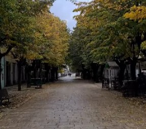 MOSTRUOZNO! Mladić silovao psa u parku u Cetinju: Mučnu scenu snimila prolaznica, pa snimak odnela u policiju!