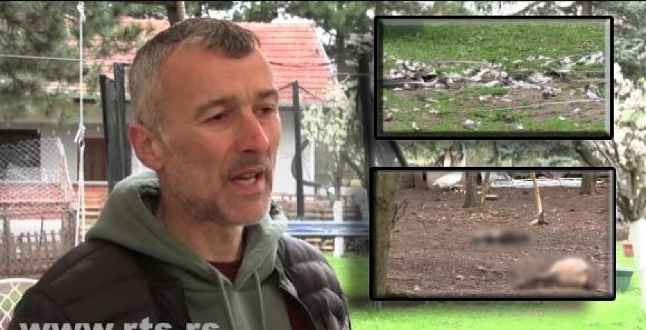 PSI LUTALICE DEJANU POBILI SVE ŽIVOTINJE: "Sve što sam imao, sve je uništeno, noćas su pojeli četiri pauna, šest patuljastih kozica, dva emua, par kokica"