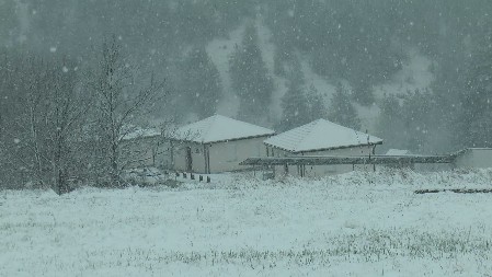 MEŠTANI OVOG MESTA U SRBIJI U ŠOKU "Čuli smo da će biti sneg, ali je li vidite vi ovo! Imali smo mnogo voća..." (FOTO)