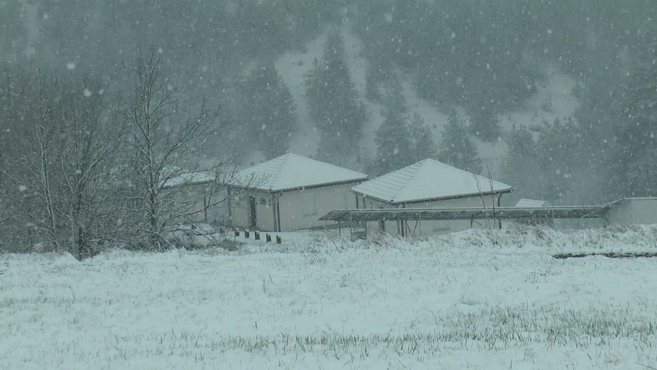 MEŠTANI OVOG MESTA U SRBIJI U ŠOKU "Čuli smo da će biti sneg, ali je li vidite vi ovo! Imali smo mnogo voća..." (FOTO)
