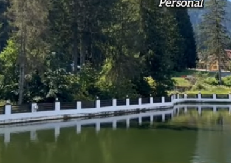 STOTINE MRTVIH RIBA PLUTA PO JEZERU Širi se smrad, vlasti u komšiluku ne mogu da reše misteriju