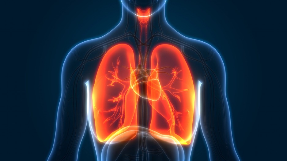 HITNO UPOZORENJE MINISTARSTVA! Zbog veoma opasne bolesti hospitalizovano šest osoba u Sidneju