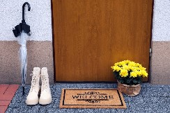 ŽENA JE 1 SREDSTVOM IZ KUPATILA NAMAZALA PRAGOVE To je spasilo od dosadnih insekata, više ne ulaze u njenu kuću