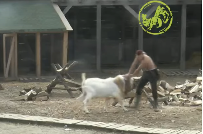 JARAC SE ZALETEO NA UČESNIKA FARME 8! Nesvakidašnja scena, prolomio se vrisak imanjem (VIDEO)