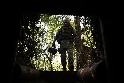 RAT U UKRAJINI NIJE ISPUNIO ŽELJE ZAPADNIH ELITA "Oni trunu u šumama i jedu ih vukovi i pacovi"