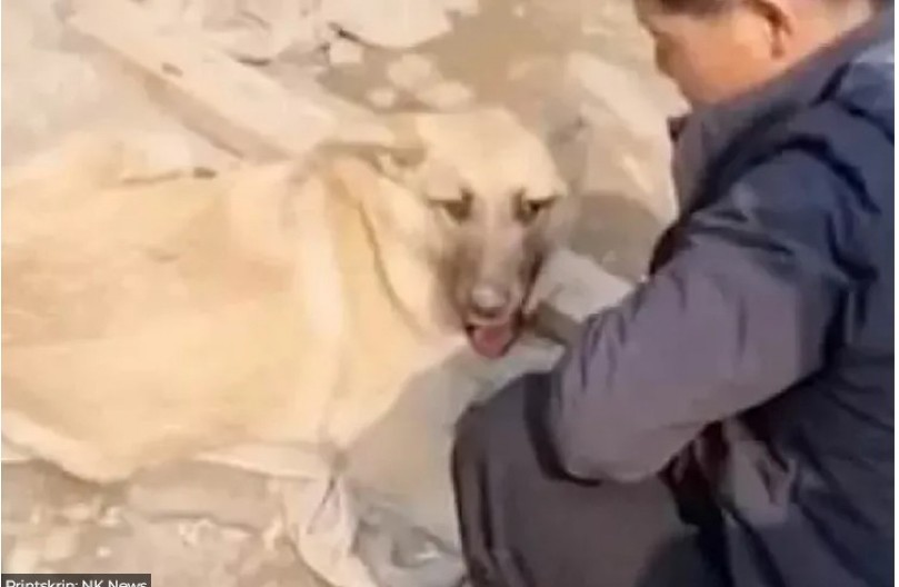 VLADIVOSTOK NA NOGAMA! Glasine o severnokorejskim radnicima koji jedu pse izazvale paniku! (VIDEO)