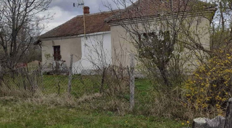 AFRIKANKA IZ PLEMENA ZULU POSTALA SRPSKA SNAJKA Sa mužem se preselila na selo, pretvorili staru kuću u dvorac! (FOTO)