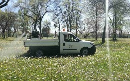 VELIKA AKCIJA ŠIROM BEOGRADA Radnici kreću u 10 sati, koristiće se specijalni preparati protiv krpelja