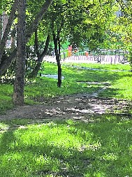 MALOLETNIK (17) UHAPŠEN ZBOG UBISTVA NA ZVEZDARI! Nasmrt izbo Aleksandra u parku