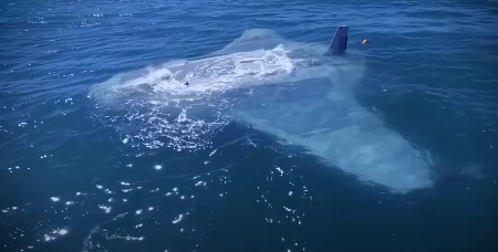 PENTAGON U PANICI Misteriozni objekti u okeanu, postoje 2 opcije