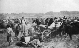 UŽAS! Studenti iz Srbije, Srpske i Crne Gore kreću na Medicinijadu i žurku na Pag, gde su Hrvati ubili na hiljade Srba?!