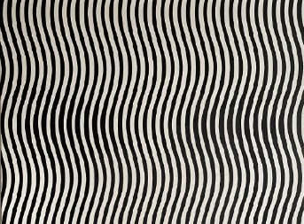 OPTIČKA ILUZIJA KOJA JE RAZBESNELA INTERNET Samo 1% ljudi vidi ženu na slici, ostali samo haos - u koju grupu vi spadate?