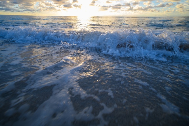 REŠENA MISTERIJA STARA 500 MILIONA GODINA! Evo šta se nalazi na dnu mora