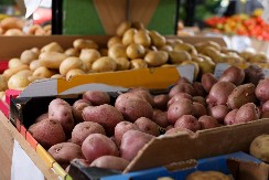 RAZLIKA IZMEĐU CRVENOG I BELOG KROMPIRA JE OGROMNA Stručnjaci otkrili koji je zdraviji