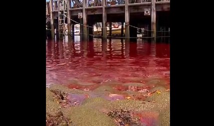 VODA POSTALA KRVAVO CRVENA! Uznemirujući prizori se dele društvenim mrežama: Meštani strahuju od najgoreg (VIDEO)