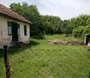 KUĆA I VOĆNJAK BLIZU NIŠA ZA 16.000 EVRA: Ipak, postoji jedna mana! (FOTO)