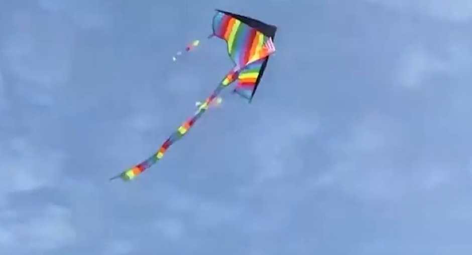 DEČAK PUŠTAO ZMAJA, U SLEDEĆOJ SEKUNDI JE USLEDIO HOROR Spasioci se sledili od šoka, ono što su videli će pamtiti do kraja života! (VIDEO)