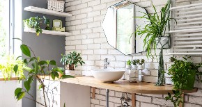 3 MIRISNE BILJKE IDEALNE SU ZA KUPATILO Prirodni su osveživač vazduha