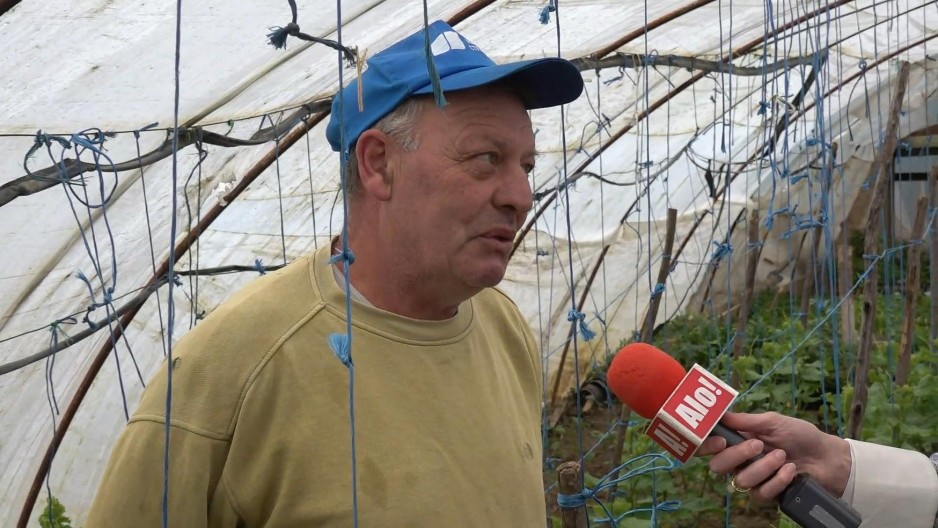 ALO! U OBILASKU GAZDINSTVA TODOROVIĆ KOD NIŠA: Država je za nas učinila mnogo, svaki dinar subvencije je bitan i hvala im na tome! (VIDEO)