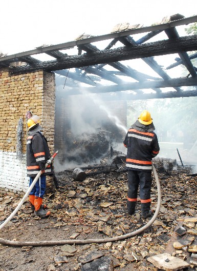 IZBIO POŽAR U WESTU 65 Jake vatrogasne snage na terenu, situacija pod kontrolom (FOTO)