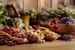 NEISKORIŠĆEN POTENCIJAL Lekovite biljke se gaje na samo dva odsto poljoprivredne površine