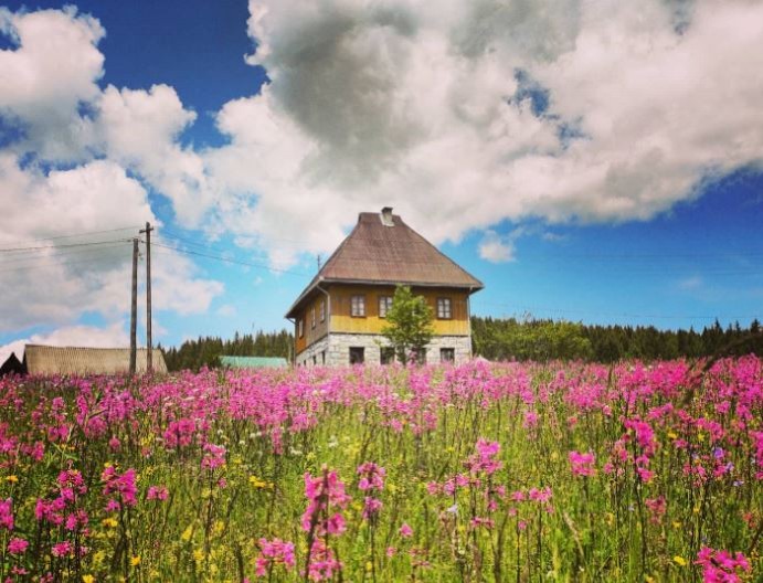 SRPSKO SELO GDE LJUDI NE UMIRU! Žive preko 100 godina, piju čudotvornu vodu i klanjaju se BORU STAROM 500 GODINA